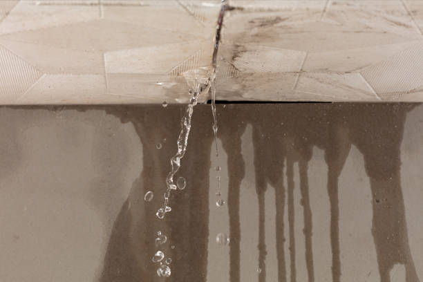 Professional Structural Drying technician working in Monroe, CT